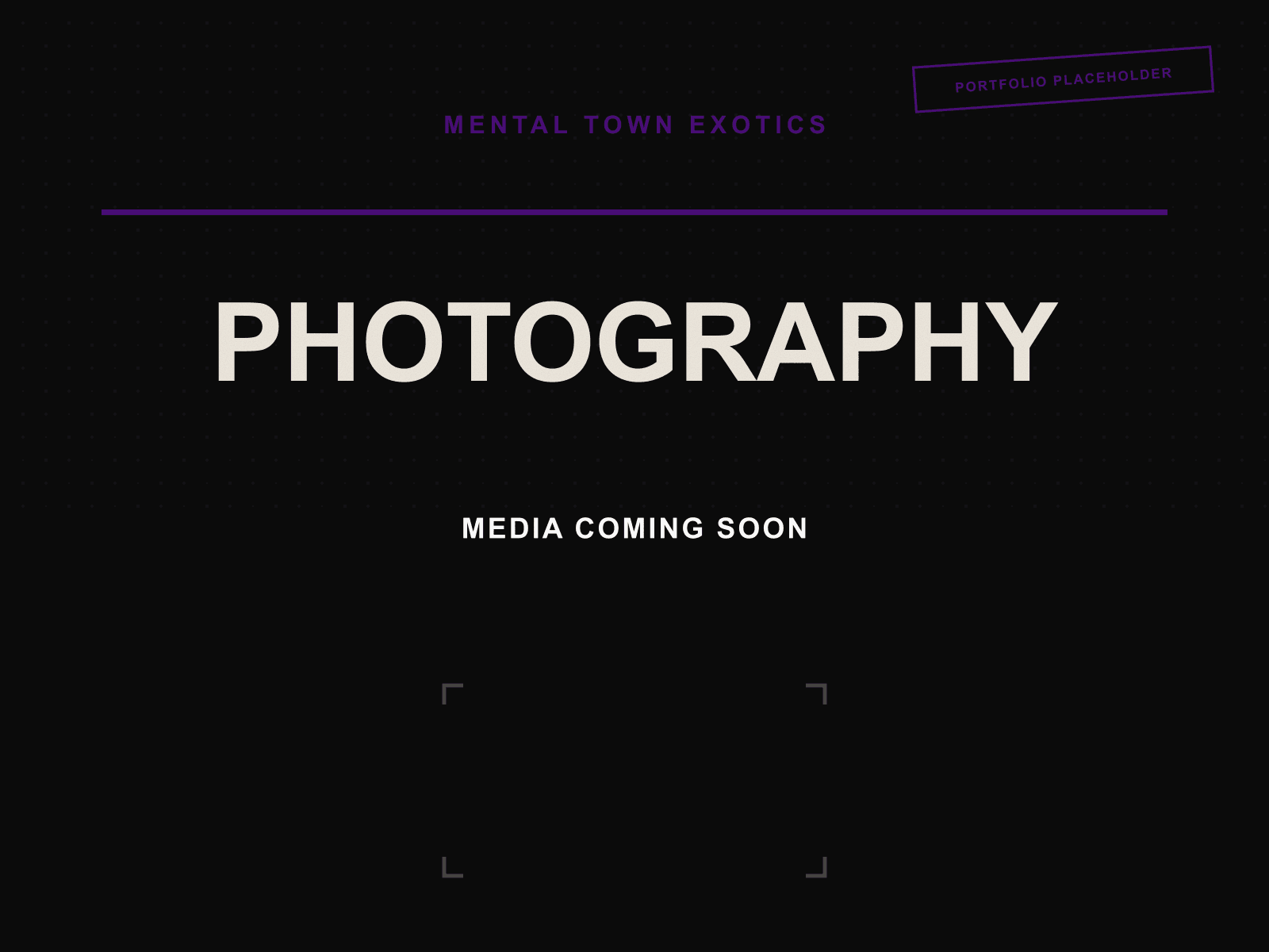 Mental Town Exotics branded portfolio placeholder for future product photography, not yet published.
